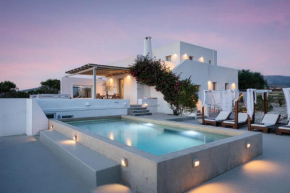 Paros House Villa